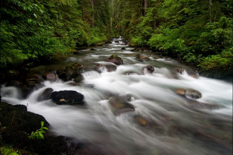 Bagley Creek