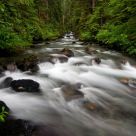 Bagley Creek