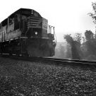 Early Morning Train