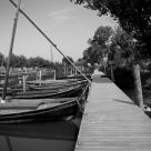 puerto albufera