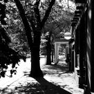 Streets of Santa Fe