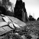 decay