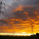 Golden sky