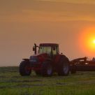 Morning on the Farm