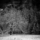 Yosemite Winter Storm Clearing