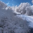 Infrared Shade