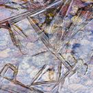 Frozen Pond Ice Patterns