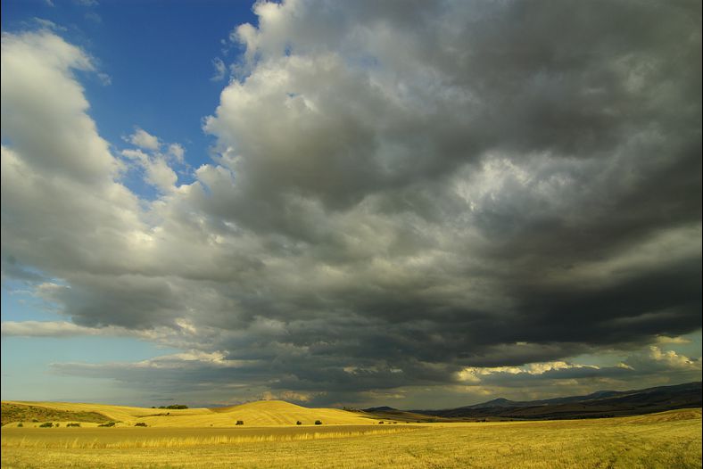 earth and sky