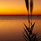 Florida Sunset