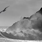 Splash