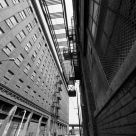 Downtown Street