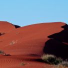 Red Dune