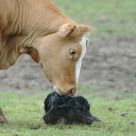 Thirty seconds old - new life