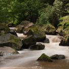 Creek