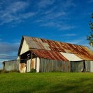 Tebbutt's Shed