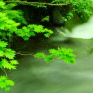 Stream