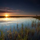 Sunrise at a Small Pond 2