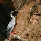 Climbing