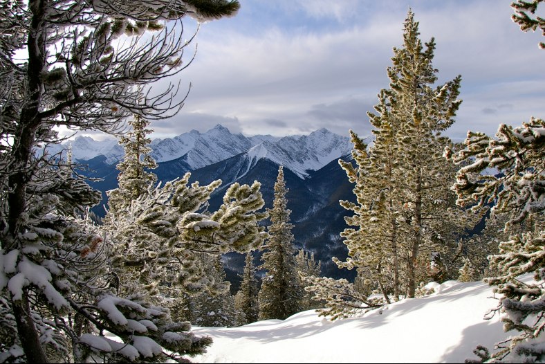 Sulphur Mountain