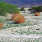 S Shaped Trail