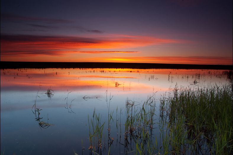 Sunrise at a Small Pond 1