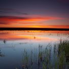 Sunrise at a Small Pond 1