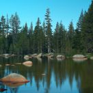 Meadow Of Rocks