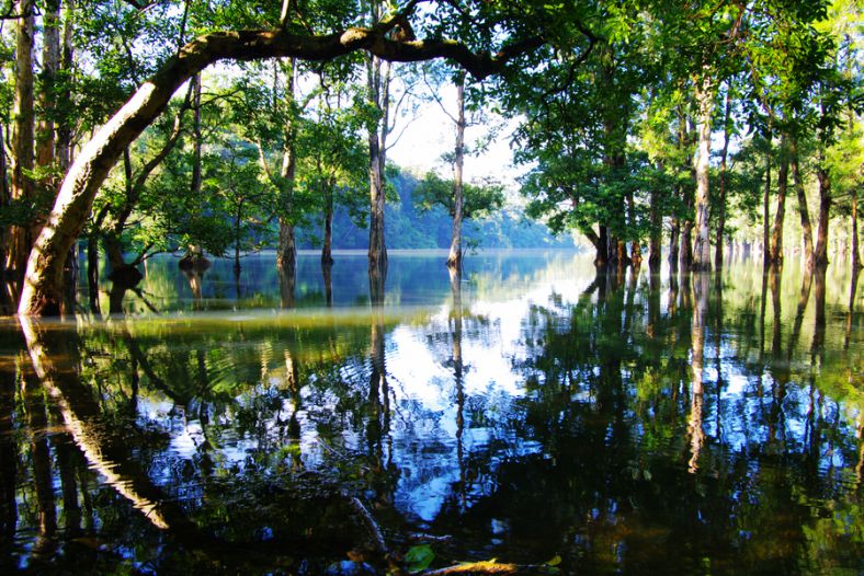 Summer in Shing Mun Reservoir