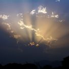 Sunburst