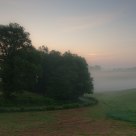 Misty Morning