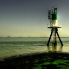 Western Scheldt (Westerschelde)