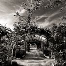 Promenade Archway