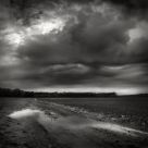 Wet morning