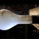 Light Bulb