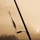 Rods at the Ready