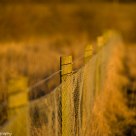 Fence