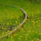 Rails
