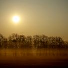 Morning Tranquillity