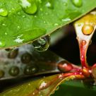 After the Rain