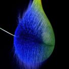 Color Burst