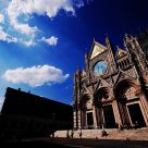 The Church