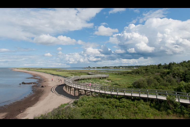 Bouctouche dune