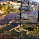 Mammoth Hot Springs