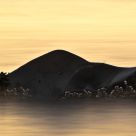 Rock`n themidnight sun