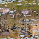 Evening Lesson