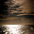 Solitary