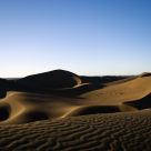 Desert Morning