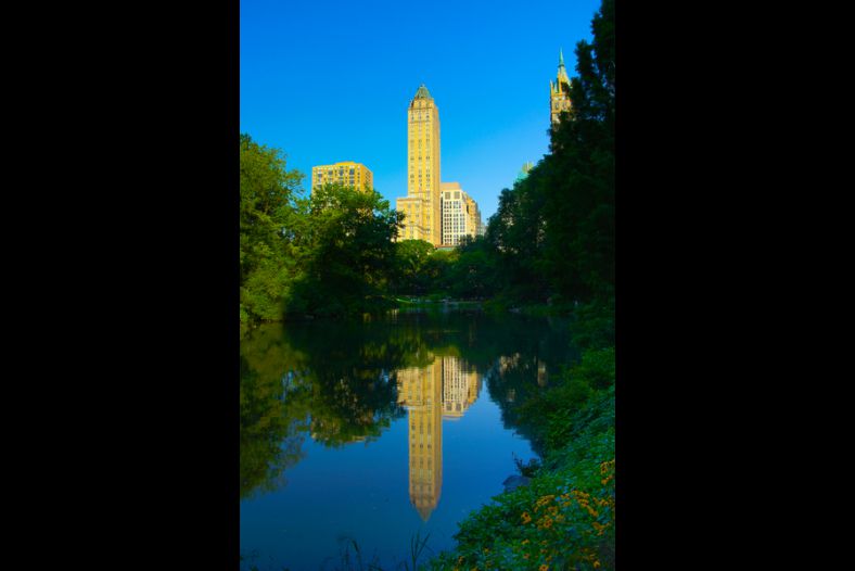 Central Park, NY