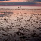 Low Tide