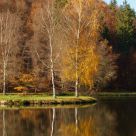 FALL